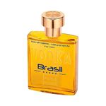 Perfume-Importado-Paris-Elysees-Eau-De-Toilette-Masculino-Vodka-Brasil-Amarelo-100ml