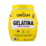 Gelatina-Nazca-Origem-400g-Super-Fixacao