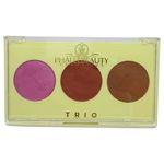 Paleta-Trio-Contorno--Iluminador-e-Blush-Phallebeauty-Ph0321