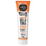 Gelatina Salon Line -Todecacho Estilizacao Fixacao Forte 280g