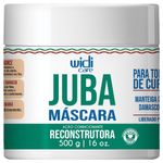 Mascara Reconstrutora Condicionante Juba - 500g