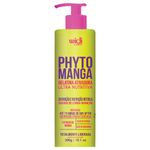 Gelatina Widi Care Phytomanga Ativadora Ultra Nutritiva 300g